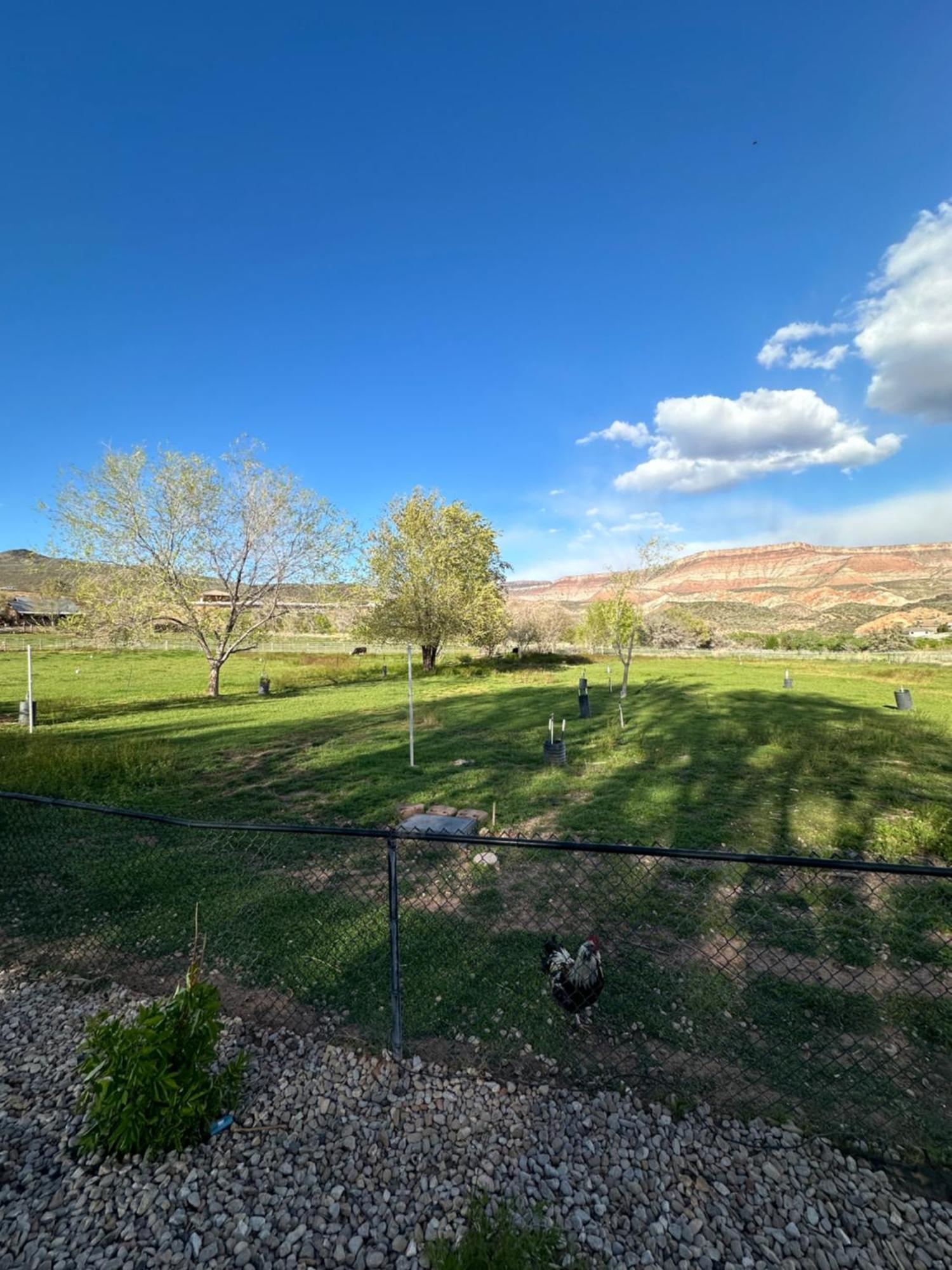 Copper Creek Farm Villa Toquerville Exterior photo